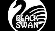 Black Swan - Tribute rock