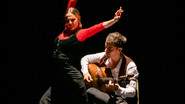 Vuelo Flamenco - Caroline Pastor