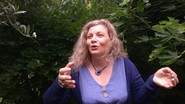 stéphanie Duquesne - Contes du jardin