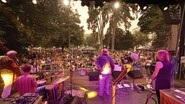 Tim O'Connor - & The Trance Alpine Troubadours