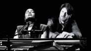Purrfect Night (escales musicales) n°1 — Piano