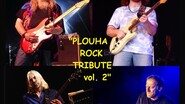 DIMANCHE APERO HOFMANN FAMILY BLUES + YONEL (ONE MAN BAND)