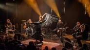Mezcla - Flamenco / Metal acoustique