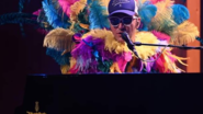 ELTON TRIBUTE - The show 