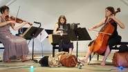 Horizons Nomades : musique du monde - Trio Accordéon/Alto/Violoncelle