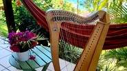 Violaine la harpiste - Harpe celtique pour mariage