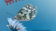 Que ma joie demeure !