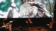 Dans les bois – Cie le Limaçon