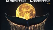 FESTIVAL CONTES ET RENCONTRES - Scène ouverte