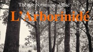 Collectif AiÔn - L'Arborinidé