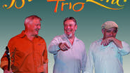 Brins de Zinc Trio - Chansons en français