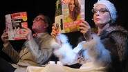 COMPAGNIE FEES ET GESTES - COMPAGNIE THEATRE