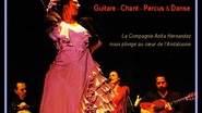 Grand Concert FLAMENCO avec Danseuse