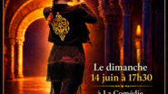 spectacle des élèves - danse flamenco