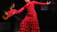 Azafran Flamenco  - Danse & Musique 