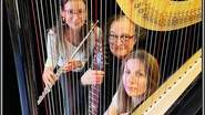 HarpiStick trio - Concert, Evènementiel, Animation