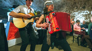Cours Toujours - chansons vitaminées et digressions swing !