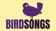 BIRDSONGS - Groupe Pop