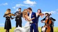 MAESTOSO - Musiciens mariage