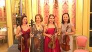 Quatuor Horta - Quatuor à cordes pour évènements ( duo possible)