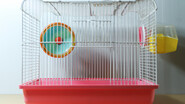 LE JOURNAL D’EDWARD, HAMSTER NIHILISTE (1990-1990)