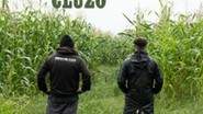 The Inspector Cluzo
