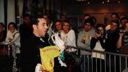 Magicien - Spectacle de magie