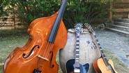 swing and co - groupe de jazz manouche pour animer vos événements