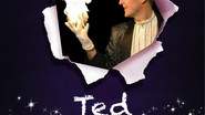 Ted Magic-Show - Magicien, Arbre de Noël etc...