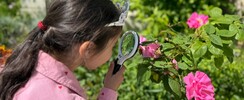Jardin à la loupe