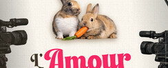 L’amour sur un plateau
