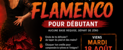 La Clemen - Cours de Flamenco - niveau débutant ou moyen
