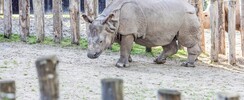 Branféré, parc animalier & botanique et Parcabout®