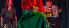 Asso Flamenco Llamas flamenca's - Cours de danses flamenco- sevillanes -rumba gipsy