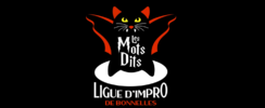 LIGUE D'IMPROVISATION DE BONNELLES  - Cours et Entrainements à l'improvisation théâtrale 