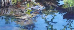 Sylvie Poirson - Stage de pastel sec