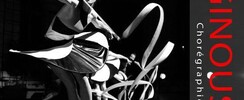 Compagnie Mouvance D'Arts - Spectacle Danse Chorégraphique - Vertiginous Lines