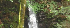 CASCADE DE LONGELIGOUTTE