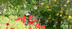 Le jardin Médiéval