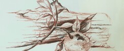 Association Garance - Cours de peinture et dessin