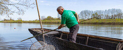 Conférence : Pêcher en Loire