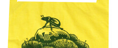 Impression sur tote bag