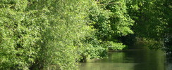 Parc de la Béchère