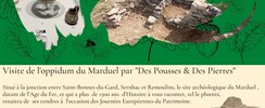 JEP : Visite de l'Oppidum du Marduel