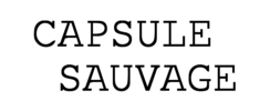 Capsule Sauvage - Cherche dates pour concert