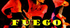 Flamenco Fiesta Fuego