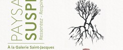 Paysages Suspendus 