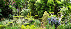 Jardin les Bambous de Planbuisson
