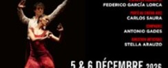 Noces de Sang - Un Ballet d'Antonio Gades & Carlos Saura - Salle Pleyel, Paris