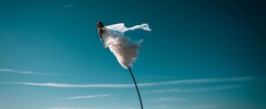 Tatiana Thomas - Danseuse aérienne, Sway pole, tissu aérien et lollipop